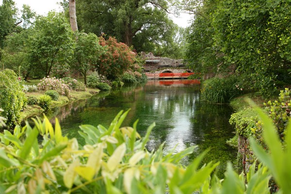 Campestre Oasi di Ninfa (23/05/2015) 00026