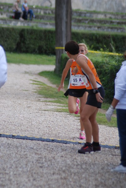 Maratona di Roma a Staffetta (17/10/2015) 00209
