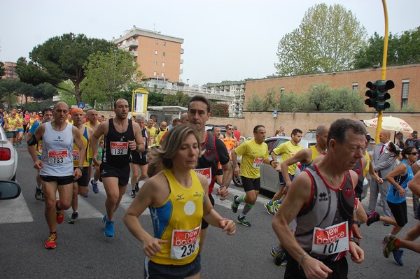 Maratonina della Cooperazione (26/04/2015) 00064