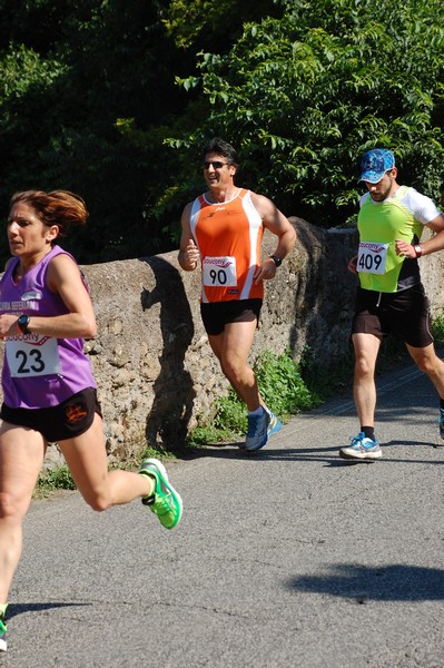 Maratonina di Villa Adriana (31/05/2015) 00063