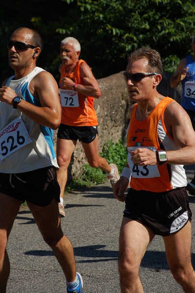 Maratonina di Villa Adriana (31/05/2015) 00085