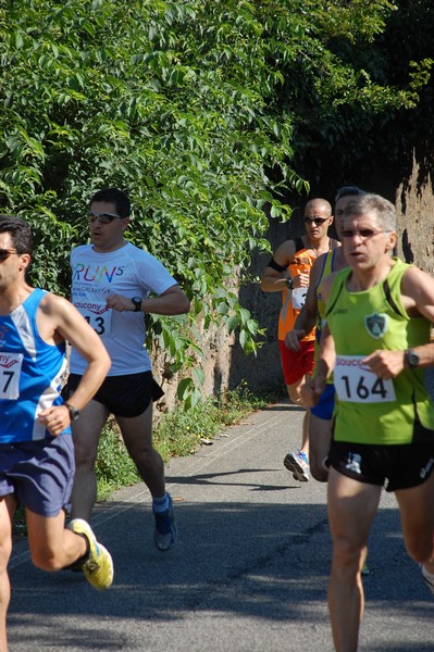 Maratonina di Villa Adriana (31/05/2015) 00093