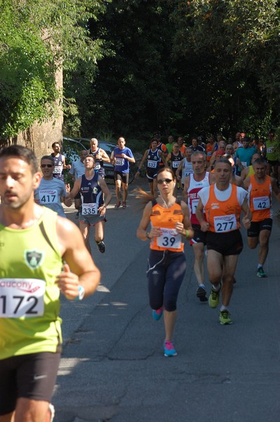 Maratonina di Villa Adriana (31/05/2015) 00121