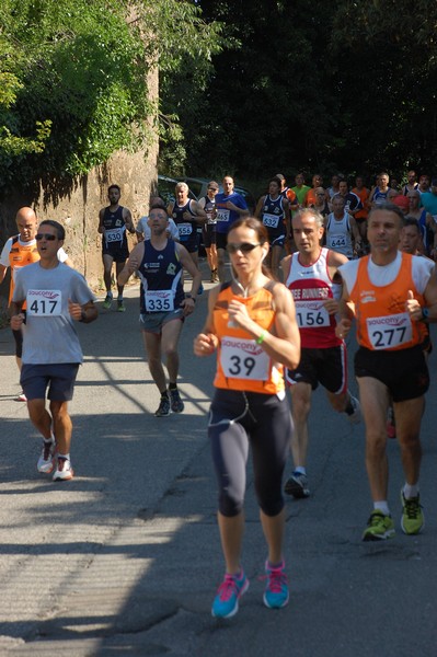 Maratonina di Villa Adriana (31/05/2015) 00123