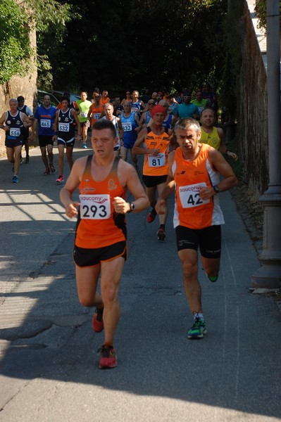 Maratonina di Villa Adriana (31/05/2015) 00126