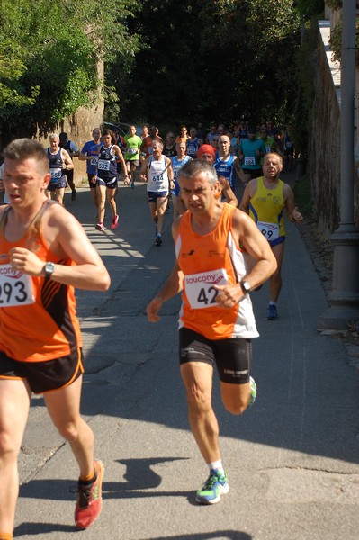 Maratonina di Villa Adriana (31/05/2015) 00128