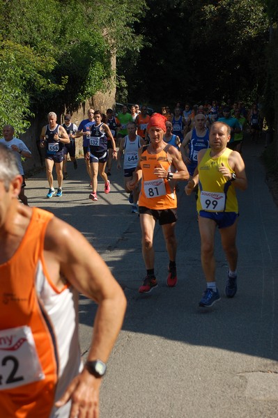 Maratonina di Villa Adriana (31/05/2015) 00130