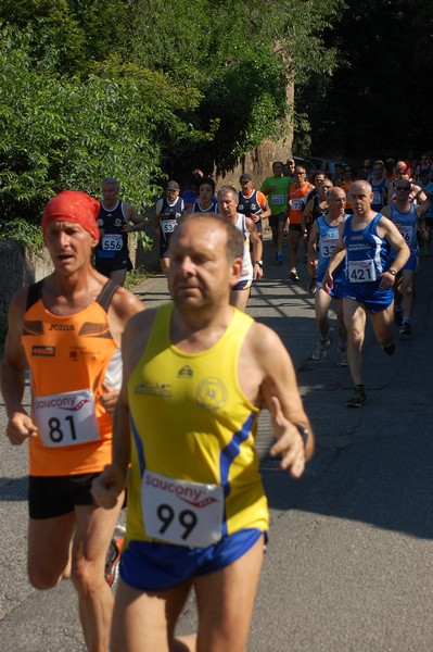 Maratonina di Villa Adriana (31/05/2015) 00133