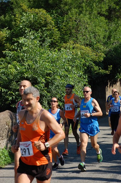 Maratonina di Villa Adriana (31/05/2015) 00135