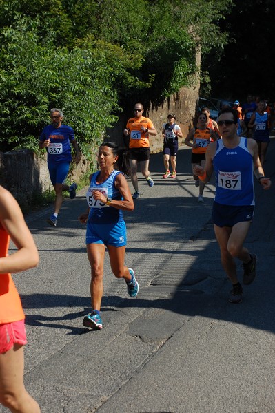 Maratonina di Villa Adriana (31/05/2015) 00137
