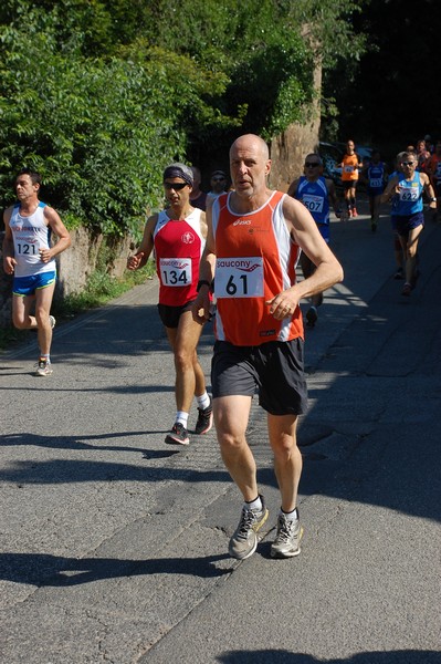 Maratonina di Villa Adriana (31/05/2015) 00152
