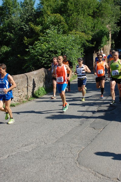 Maratonina di Villa Adriana (31/05/2015) 00159