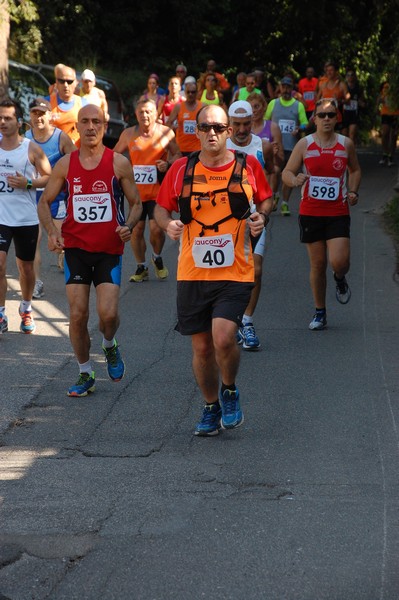 Maratonina di Villa Adriana (31/05/2015) 00177