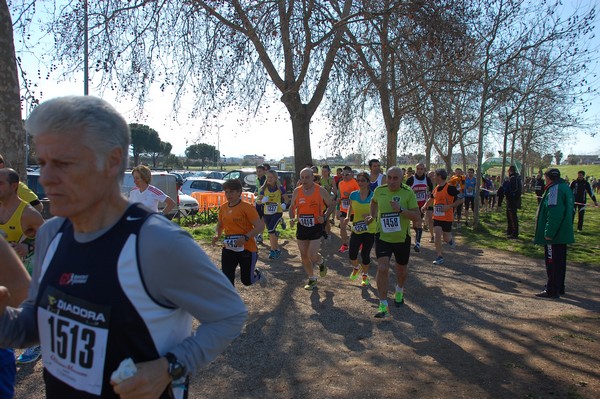 Corri per il Parco Alessandrino (08/03/2015) 00058