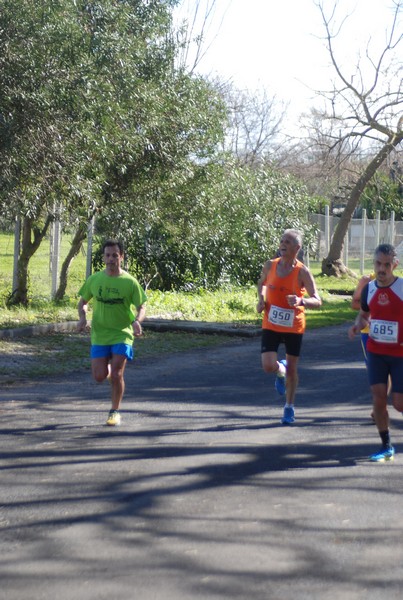 Correndo nei Giardini (06/03/2016) 00106