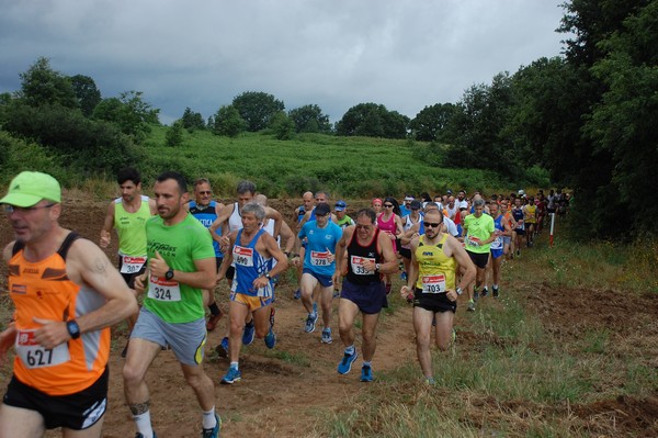 Cross Trofeo Città di Nettuno (TOP) (02/06/2016) 00076