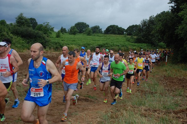 Cross Trofeo Città di Nettuno (TOP) (02/06/2016) 00085