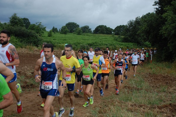 Cross Trofeo Città di Nettuno (TOP) (02/06/2016) 00088