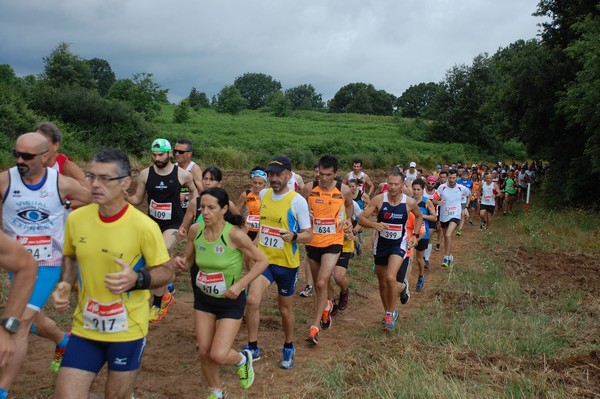 Cross Trofeo Città di Nettuno (TOP) (02/06/2016) 00089