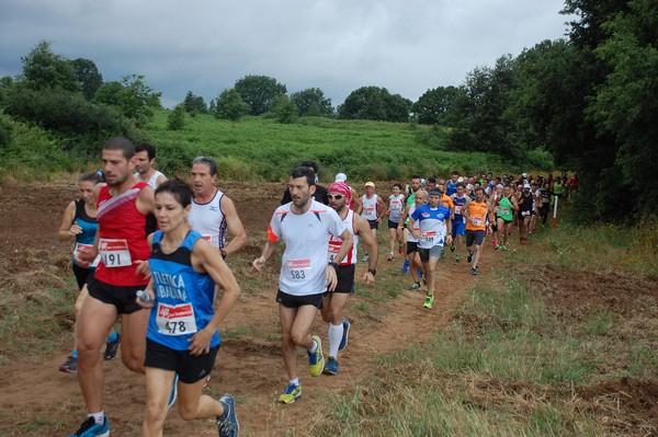 Cross Trofeo Città di Nettuno (TOP) (02/06/2016) 00093