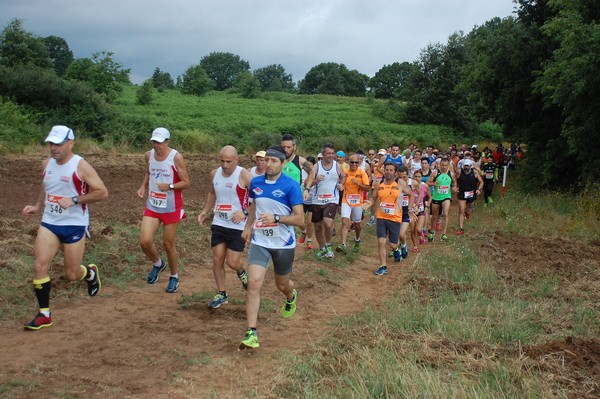 Cross Trofeo Città di Nettuno (TOP) (02/06/2016) 00096