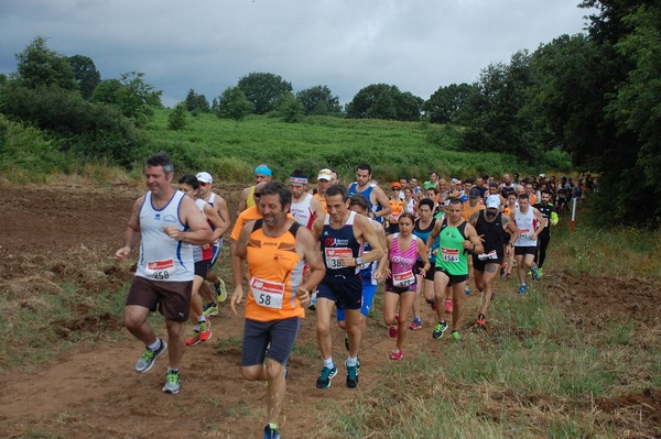 Cross Trofeo Città di Nettuno (TOP) (02/06/2016) 00100