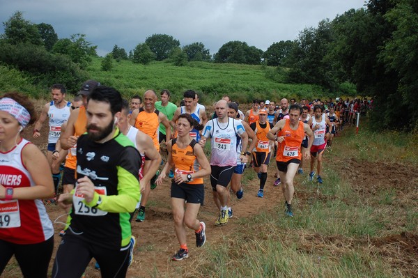 Cross Trofeo Città di Nettuno (TOP) (02/06/2016) 00106