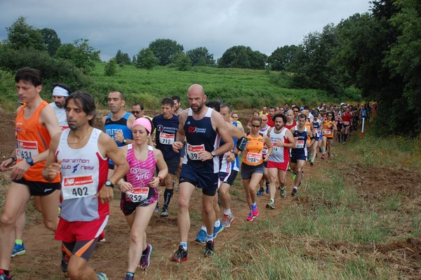 Cross Trofeo Città di Nettuno (TOP) (02/06/2016) 00111