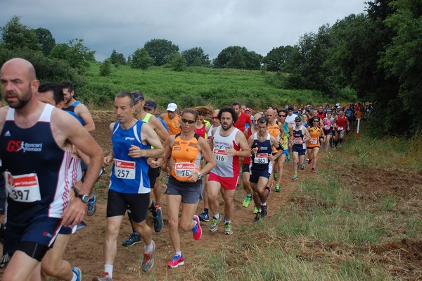 Cross Trofeo Città di Nettuno (TOP) (02/06/2016) 00113