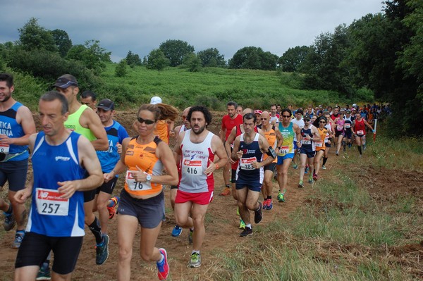 Cross Trofeo Città di Nettuno (TOP) (02/06/2016) 00114