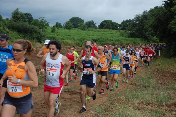 Cross Trofeo Città di Nettuno (TOP) (02/06/2016) 00115