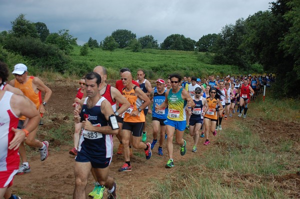 Cross Trofeo Città di Nettuno (TOP) (02/06/2016) 00116