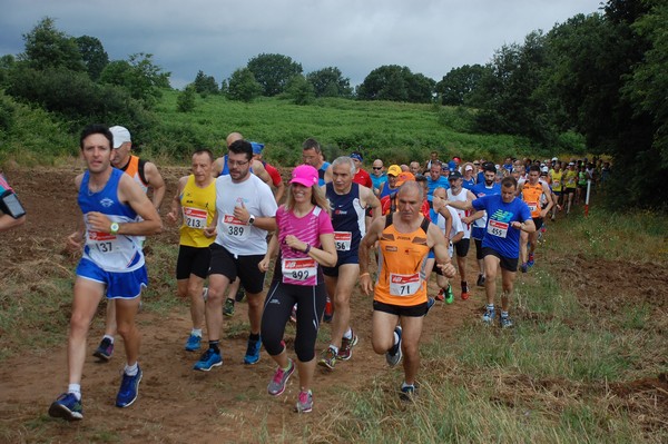 Cross Trofeo Città di Nettuno (TOP) (02/06/2016) 00132