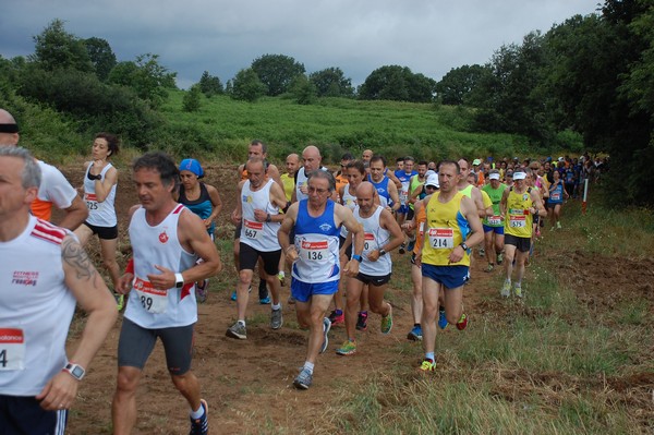 Cross Trofeo Città di Nettuno (TOP) (02/06/2016) 00144