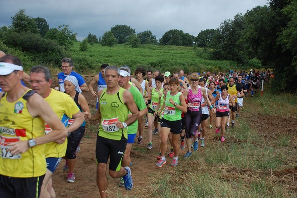 Cross Trofeo Città di Nettuno (TOP) (02/06/2016) 00149