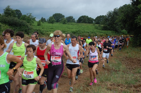 Cross Trofeo Città di Nettuno (TOP) (02/06/2016) 00152