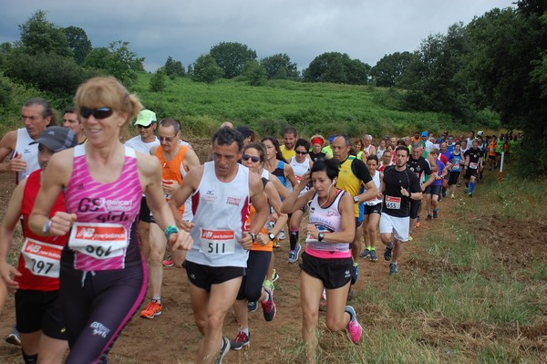 Cross Trofeo Città di Nettuno (TOP) (02/06/2016) 00153