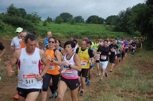 Cross Trofeo Città di Nettuno (TOP) (02/06/2016) 00154