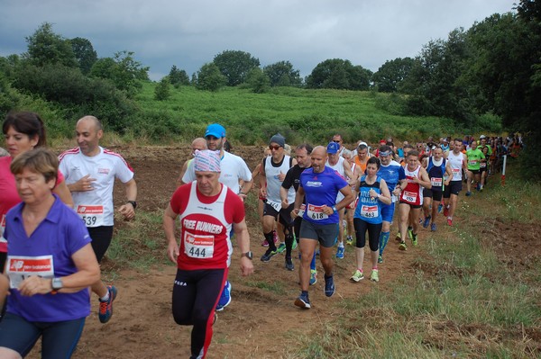 Cross Trofeo Città di Nettuno (TOP) (02/06/2016) 00161