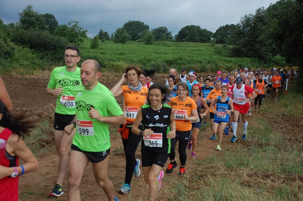 Cross Trofeo Città di Nettuno (TOP) (02/06/2016) 00173