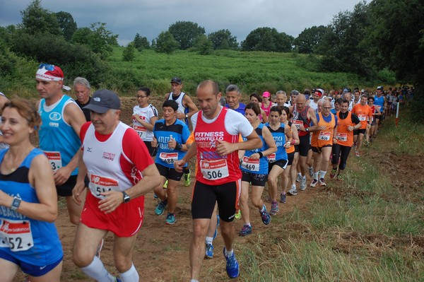 Cross Trofeo Città di Nettuno (TOP) (02/06/2016) 00178