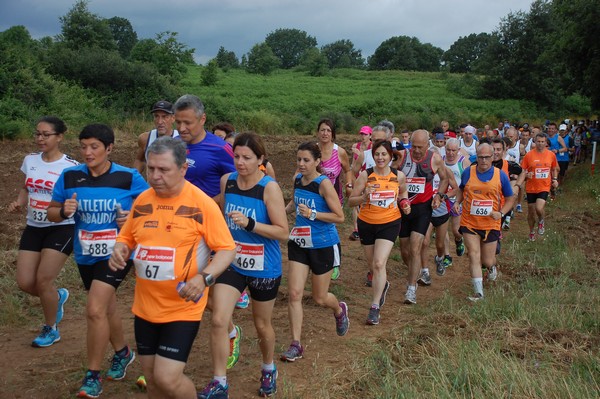 Cross Trofeo Città di Nettuno (TOP) (02/06/2016) 00180