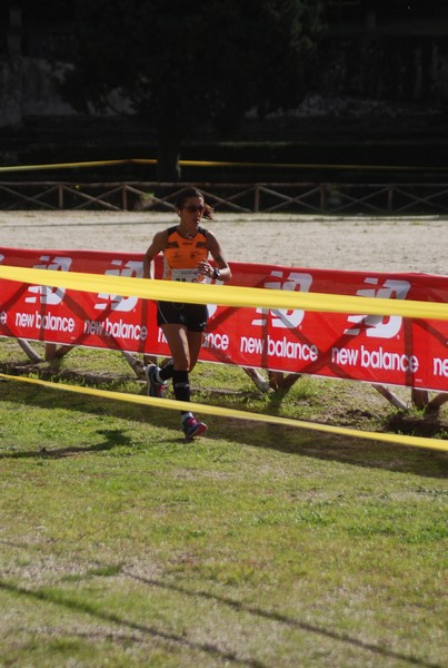 Maratona di Roma a Staffetta (TOP) (15/10/2016) 00102