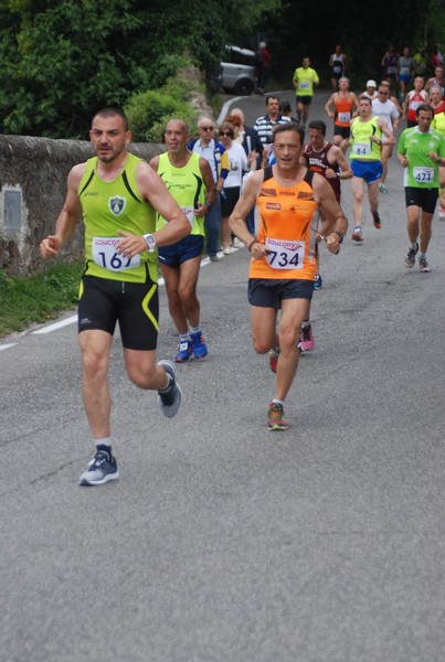 Maratonina di Villa Adriana (CCRun) (29/05/2016) 00131