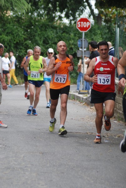 Maratonina di Villa Adriana (CCRun) (29/05/2016) 00018
