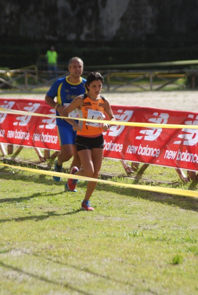 Maratona di Roma a Staffetta (TOP) (15/10/2016) 00095