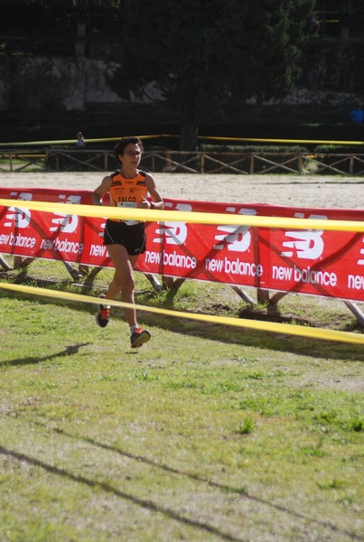 Maratona di Roma a Staffetta (TOP) (15/10/2016) 00238