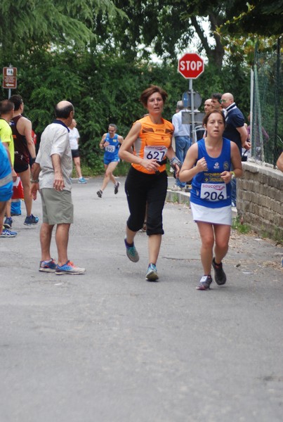 Maratonina di Villa Adriana (CCRun) (29/05/2016) 00028