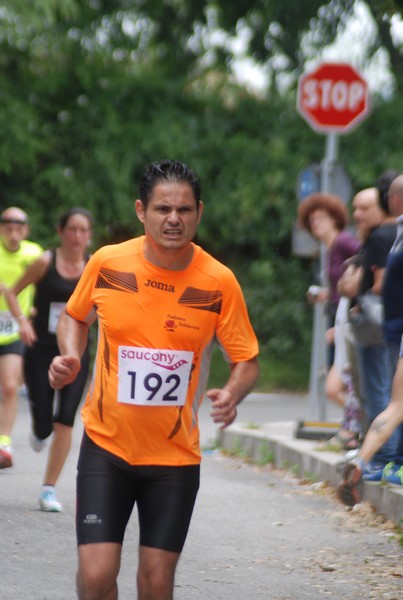 Maratonina di Villa Adriana (CCRun) (29/05/2016) 00052