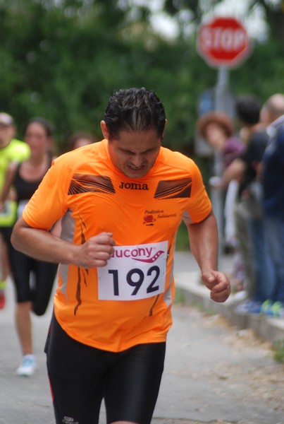 Maratonina di Villa Adriana (CCRun) (29/05/2016) 00054